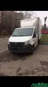 Газель фермер газель Некст фермер в Москве