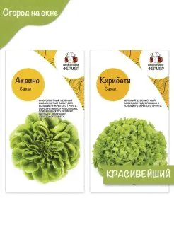 семена салатов/ аквино/ Кирибати/ нетипичный Фермер Нетипичный Фермер