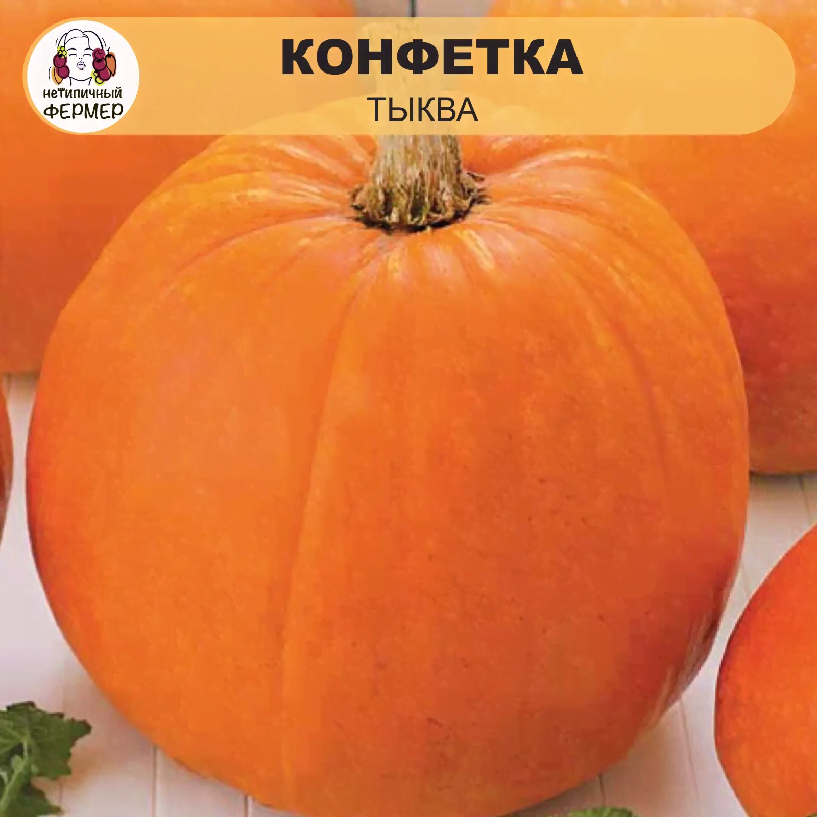 Семена тыквы Конфетка (5шт), "Нетипичный Фермер"-0