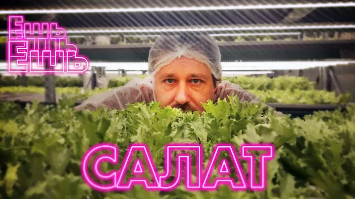 Василий и салатная ферма