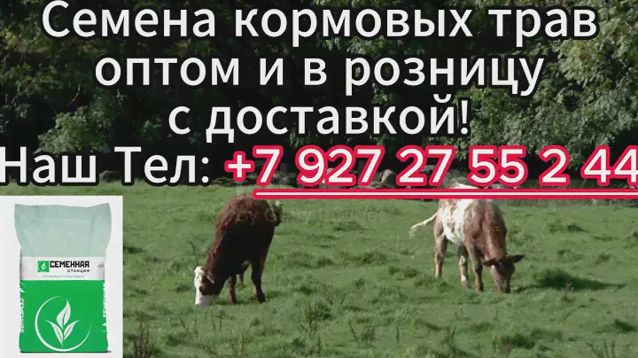 Семена кормовых трав оптом и в розницу с доставкой!