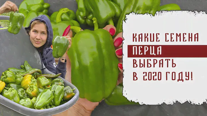 КАКИЕ СЕМЕНА ПЕРЦА ВЫБРАТЬ