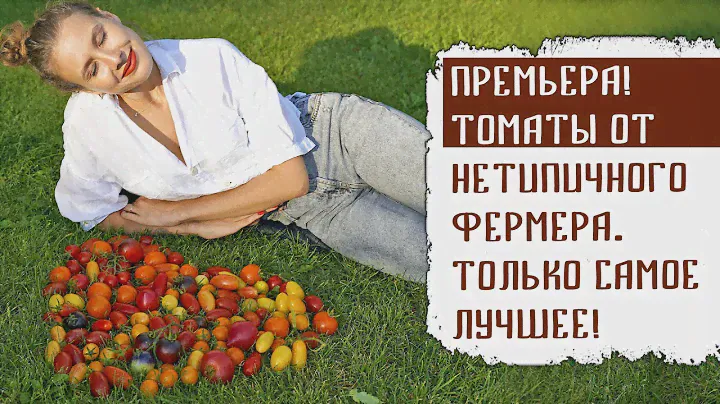 ПРЕМЬЕРА! ТОМАТЫ ОТ НЕТИПИЧНОГО ФЕРМЕРА  ТОЛЬКО САМОЕ ЛУЧШЕЕ